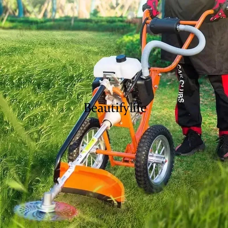 L178 Rasaerba a spinta manuale - Power Tools Machine recensione e prezzo