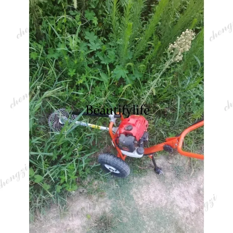 L178 Rasaerba a spinta manuale - Power Tools Machine recensione e prezzo
