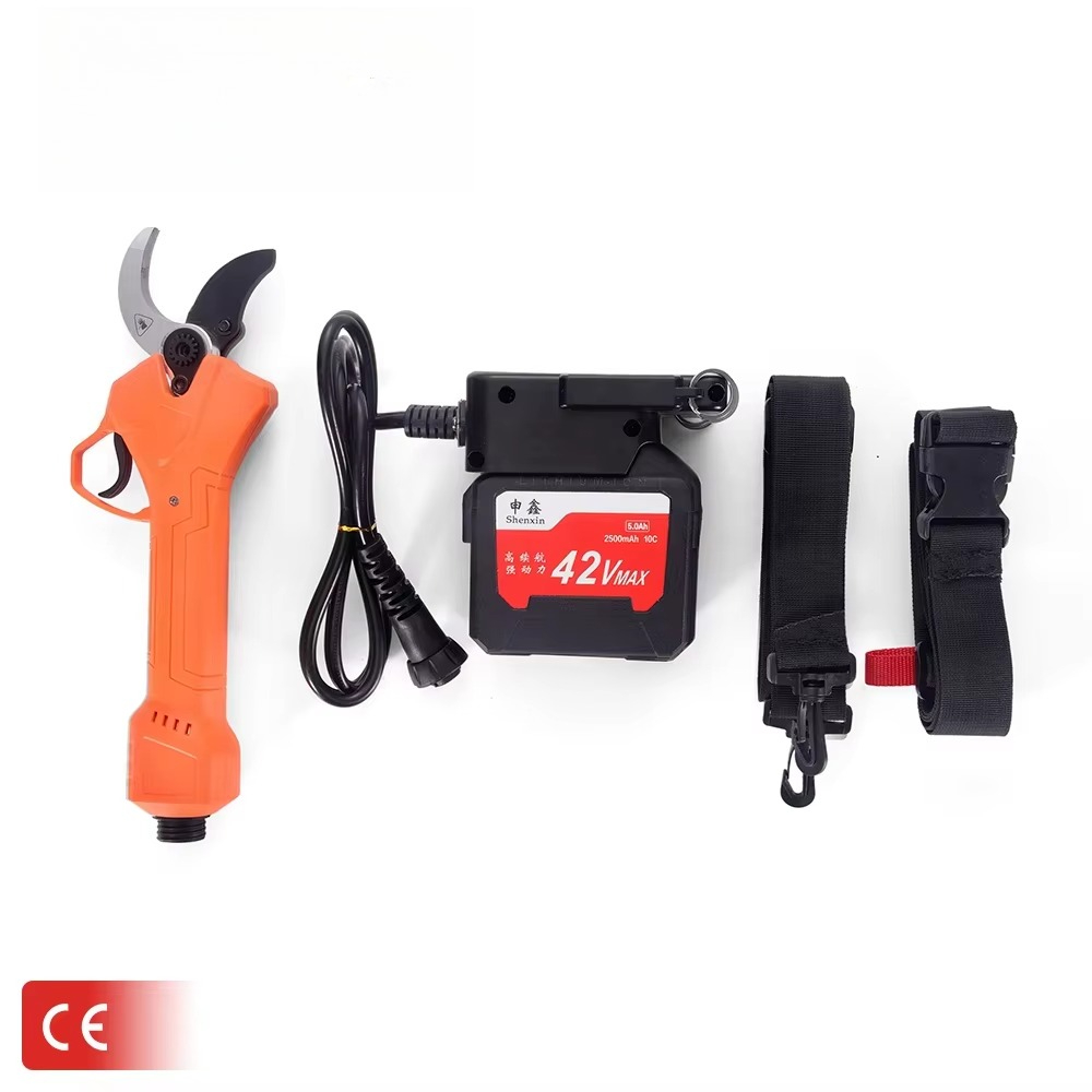 Forbici da Potatura Elettriche - Power Tools Electrical recensione e prezzo