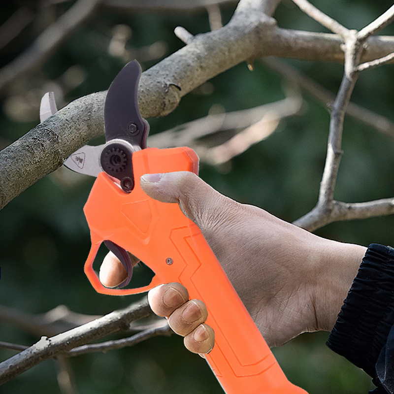 Forbici da Potatura Elettriche - Power Tools Electrical recensione e prezzo